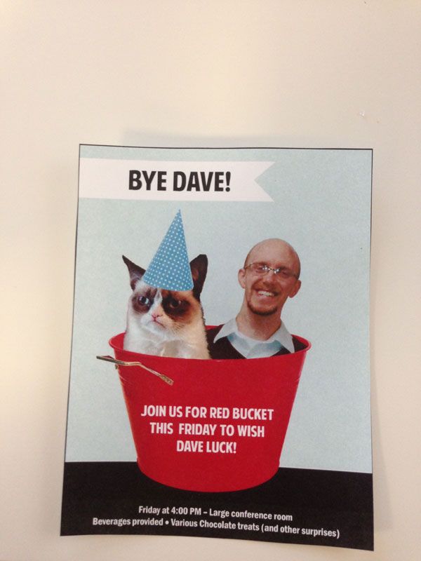 A hilarious flyer including Grumpy Cat and me in a red bucket, made with love by Amberley Romo and Kevin Wenzel.