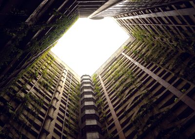 Abandoned high-rise building with weeds.