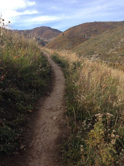 Holly Trail with a curvy dirt path, overlooking hills.