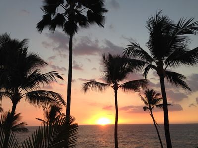 Sunset view with palm trees in background.