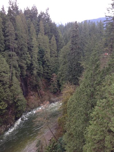 A view from from the bridge, showing a Capilano River, in Capilano Suspension Bridge Park.