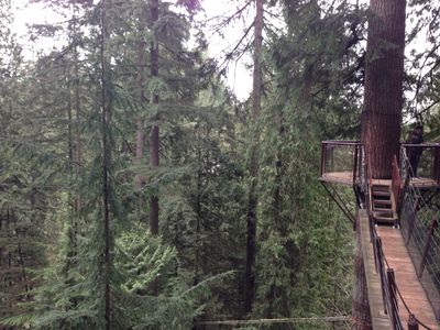 A view from one of the platforms in Treetops Adventures, showing a walkway to another platform, in Capilano Suspension Bridge Park.
