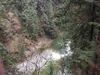 A view of the Capilano River, showing a steep cliff full of vegetation in Capilano Suspension Bridge Park.