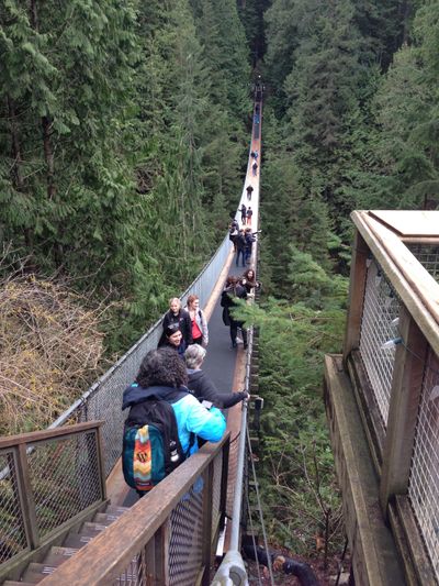 A view of people walking across the Capitano Suspension Bridge over a forest in Vancouver.