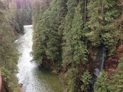 A view from from the bridge, showing a Capilano River cutting through a forest, in Capilano Suspension Bridge Park.