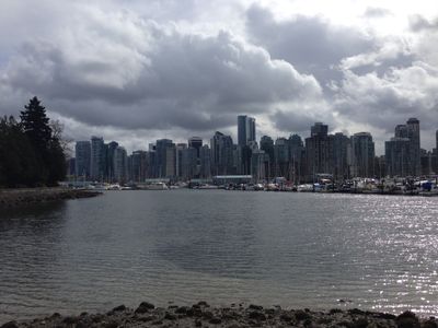A view of the harbor in Stanley Park, showing a city skyline in the background, in Vancouver.