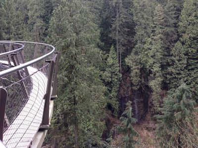 A view from one of the platforms in Treetops Adventures in Capilano Suspension Bridge Park, overlooking a forest.