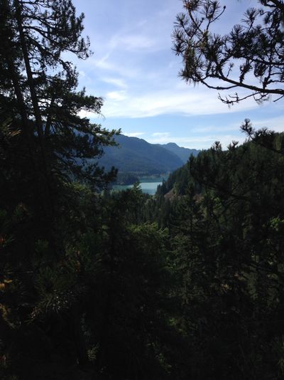 Daisy Lake, near Whistler, British Columbia. The lake is peeking between a forst of trees.