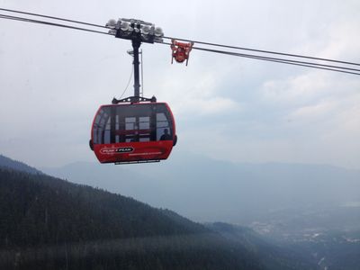 A red ski left in the sky, with a forest of trees in the background.